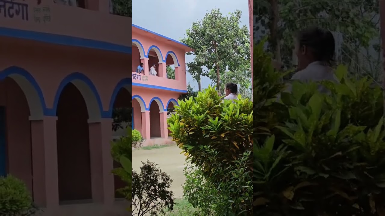 #youtubeshorts #reels #government #bihar #purnia #weather #nature