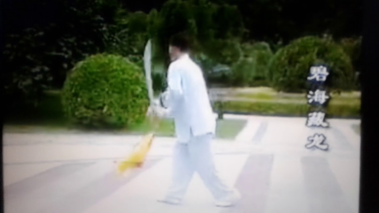 Yang sheng taiji dao