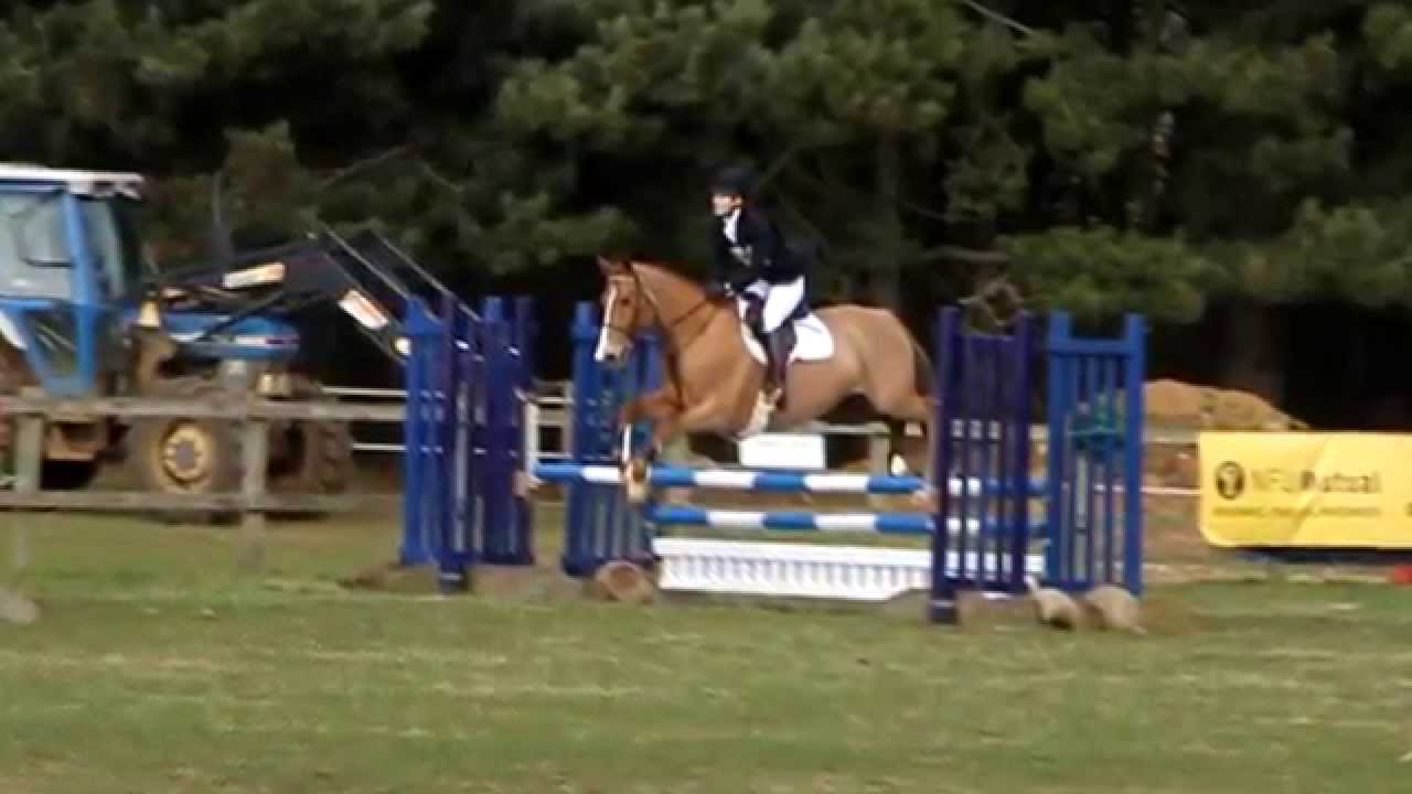 Boo Goes Eventing!!