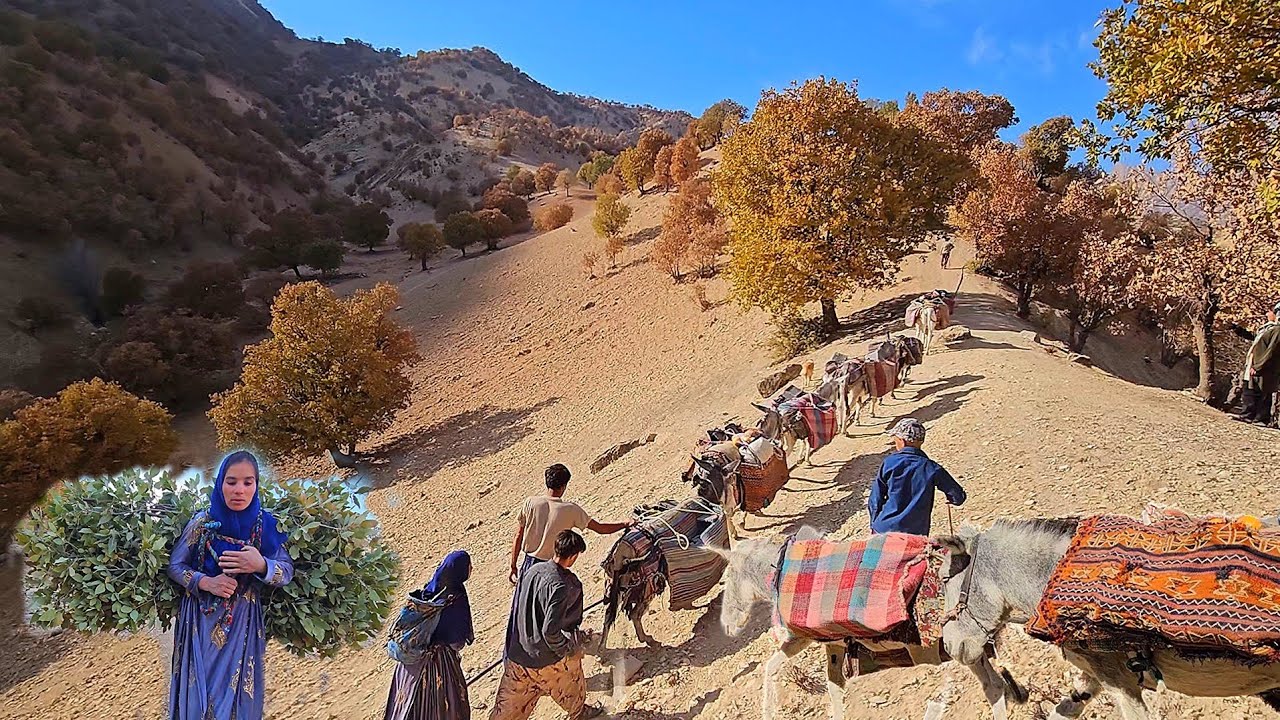 Nomadic migration 🌄