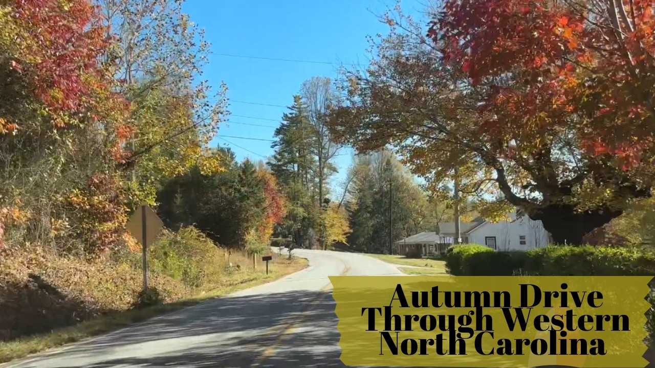 Fall Drive in Western North Carolina |COME WITTH ME| drive through Brevard and Pisgah Forest, NC