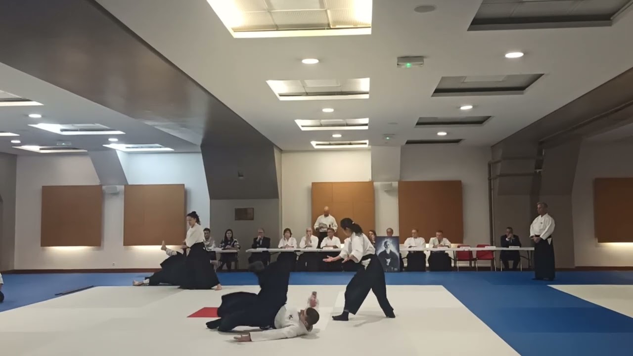 Démonstration wanomichi - Kagami Biraki 2024 - Daniel Toutain