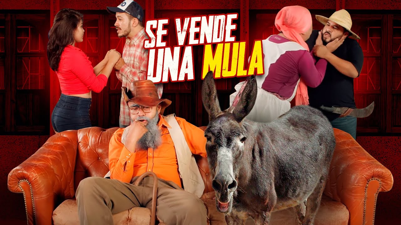 Se vende una mula - Agapito Díaz ( cortometraje ) JR