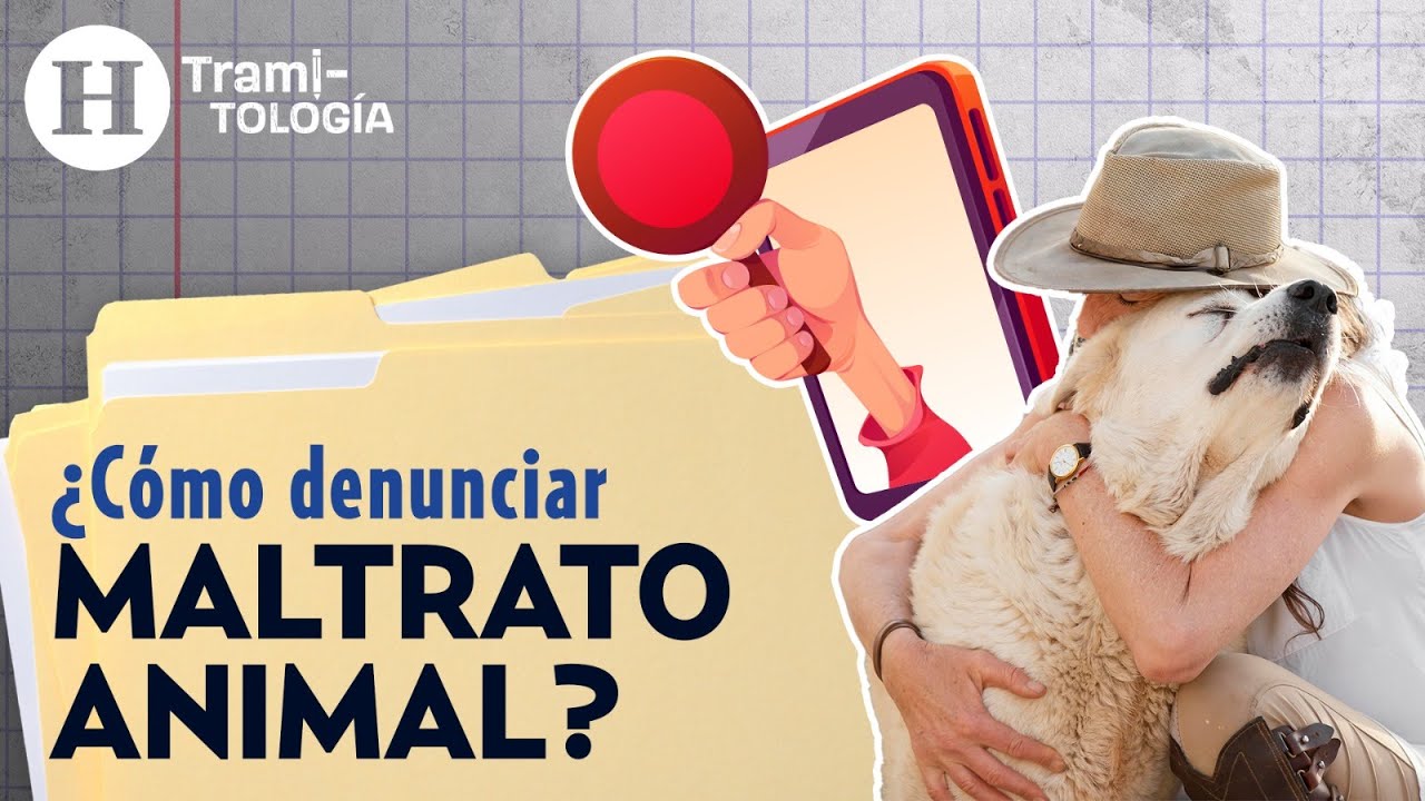 N&uacute;meros oficiales para denunciar maltrato animal | Tramitolog&iacute;a