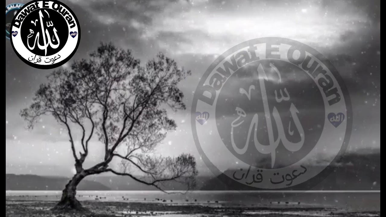 PEER PARASTI KI HAQEEQAT,,,💞 USTAAD 💞||MOULANA BASHIR AHMED SALAFI||