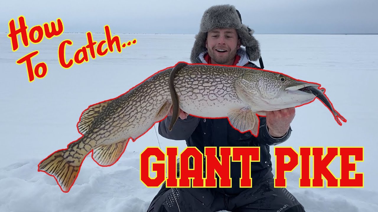 How To Catch GIANT Winter Pike - Plus Tip up mods!