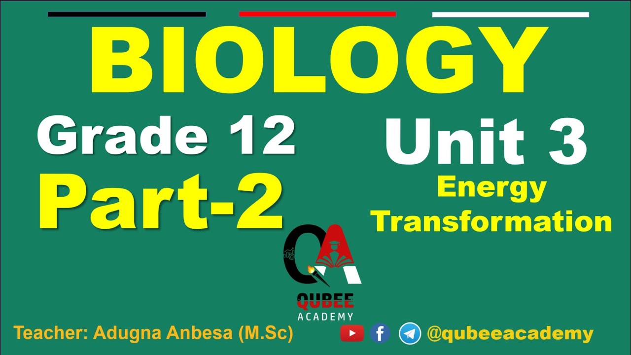 2. Grade 12 Biology Unit 3 : Energy Transformation | Part 2 | Afaan Oromoo