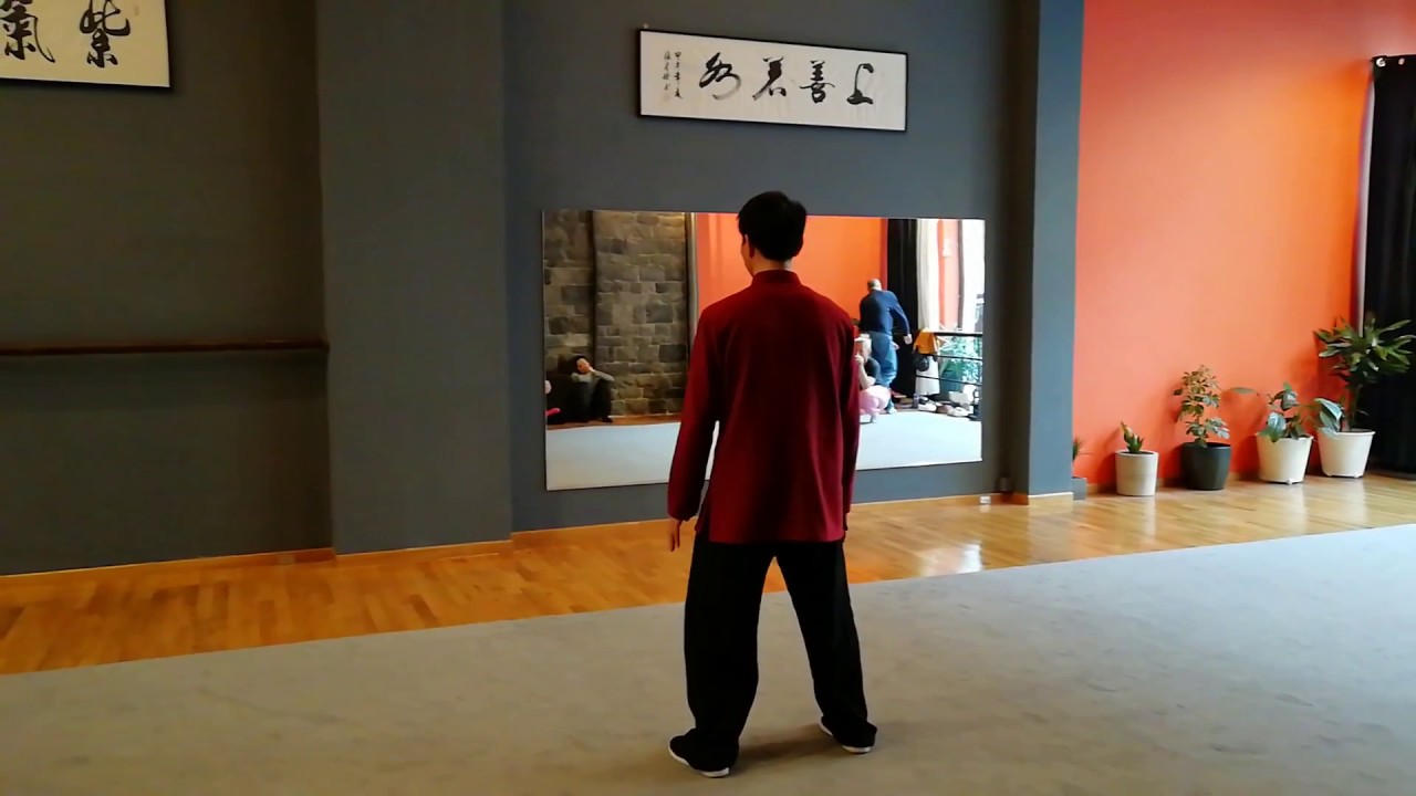 Master Chen Bing 2018 Athens Seminar - basic 13 postures form 陈炳老师陈氏太极拳基本十三式