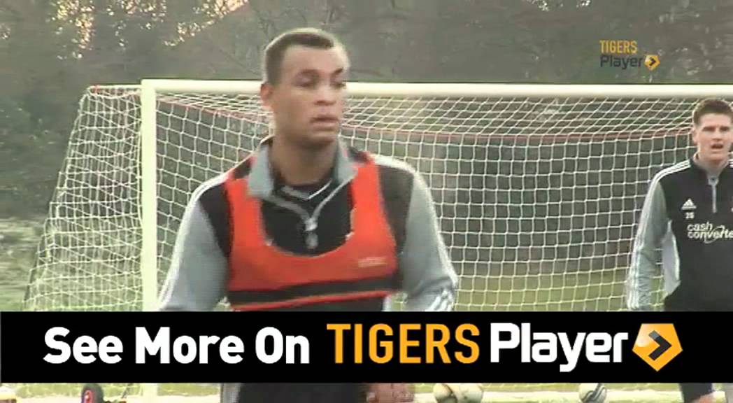 TIGERS Player