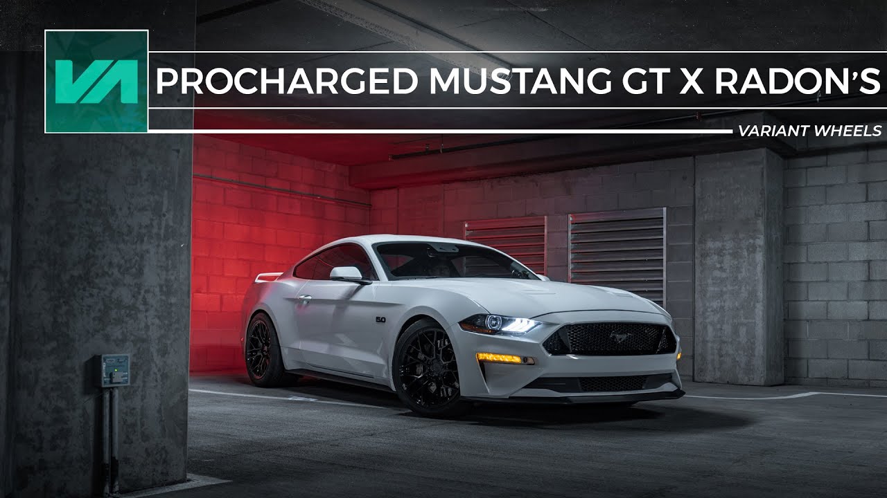 Ford Mustang GT on Gloss Piano Black Radons // Variant Wheels