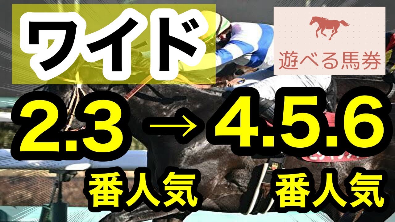 【馬券検証】ワイドフォーメーション2.3番人気から4.5.6番人気たった6点で勝負【馬券勝負】