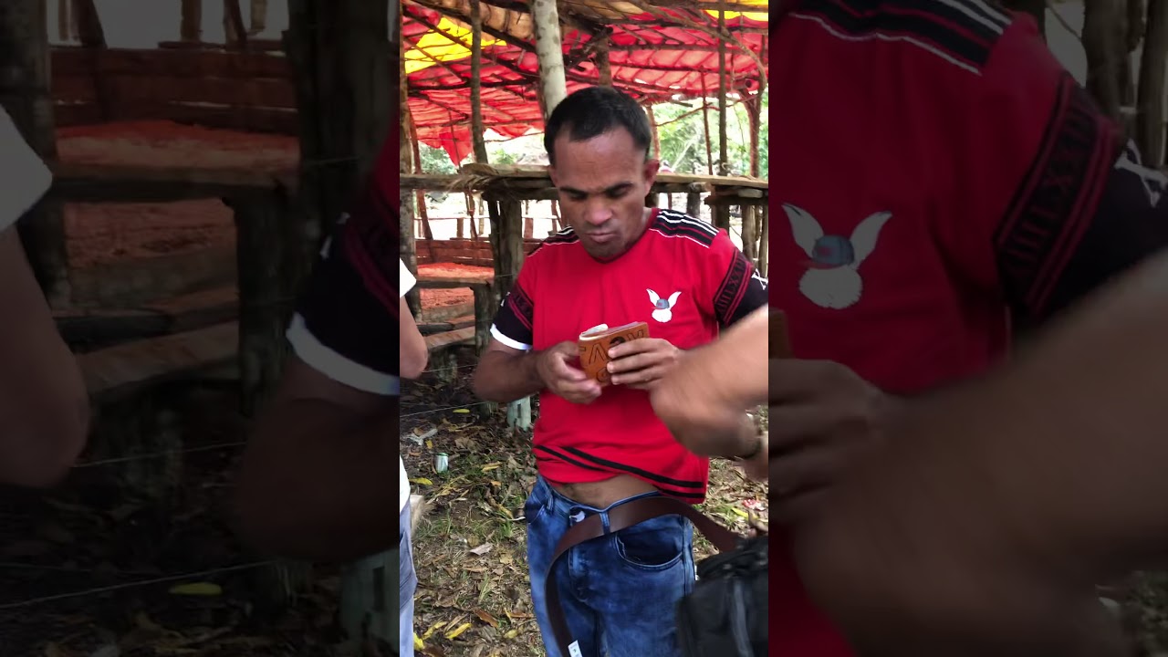 Yandy contento 2020