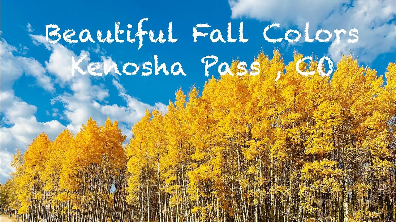 Kenosha Pass | Colorado | Fall Colors | 2024 | Amazing Colorful Foliage | Golden Aspen | Mountains