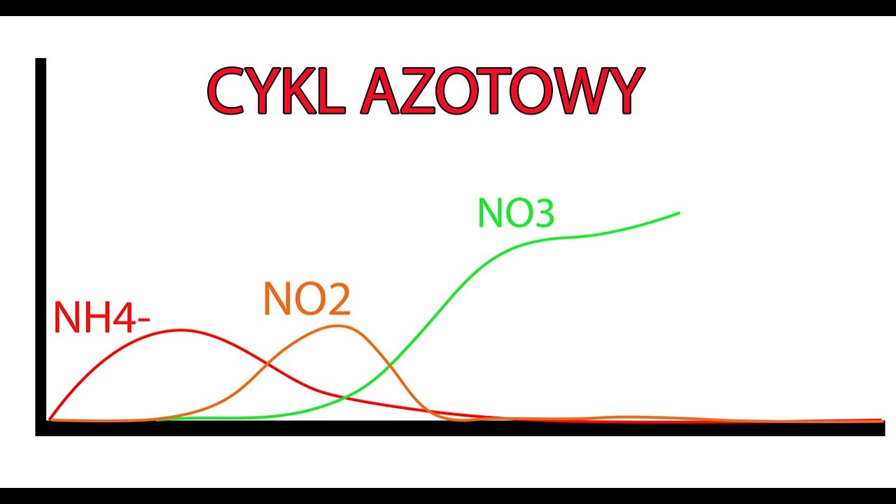 Dojrzewanie Akwarium - CYKL AZOTOWY w KREWETKARIUM - jakie bakterie kupić?