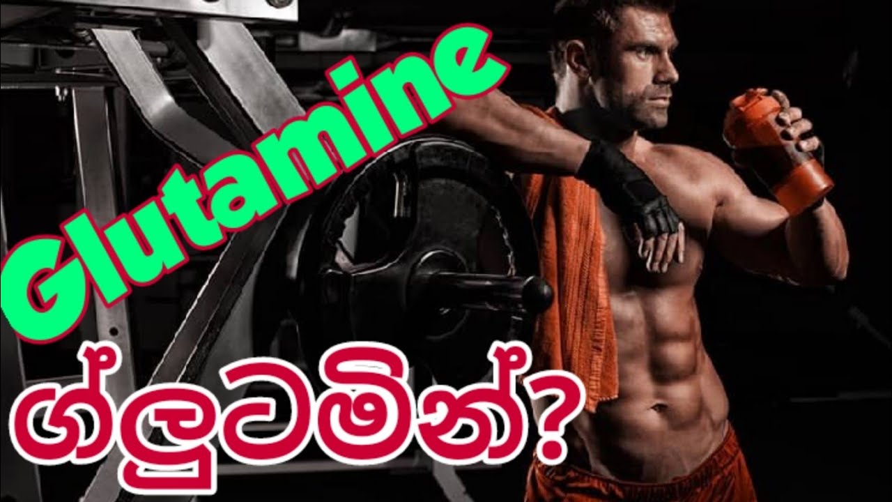 GLUTAMINE USE AND EFFECTS - මොනවද මේ ග්ලුටමින්? 🤔 #GYM #glutamine #bodybuilding #nutrition #body