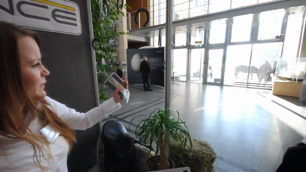 Studentbedrifter ved Høgskolen i Ålesund 2010