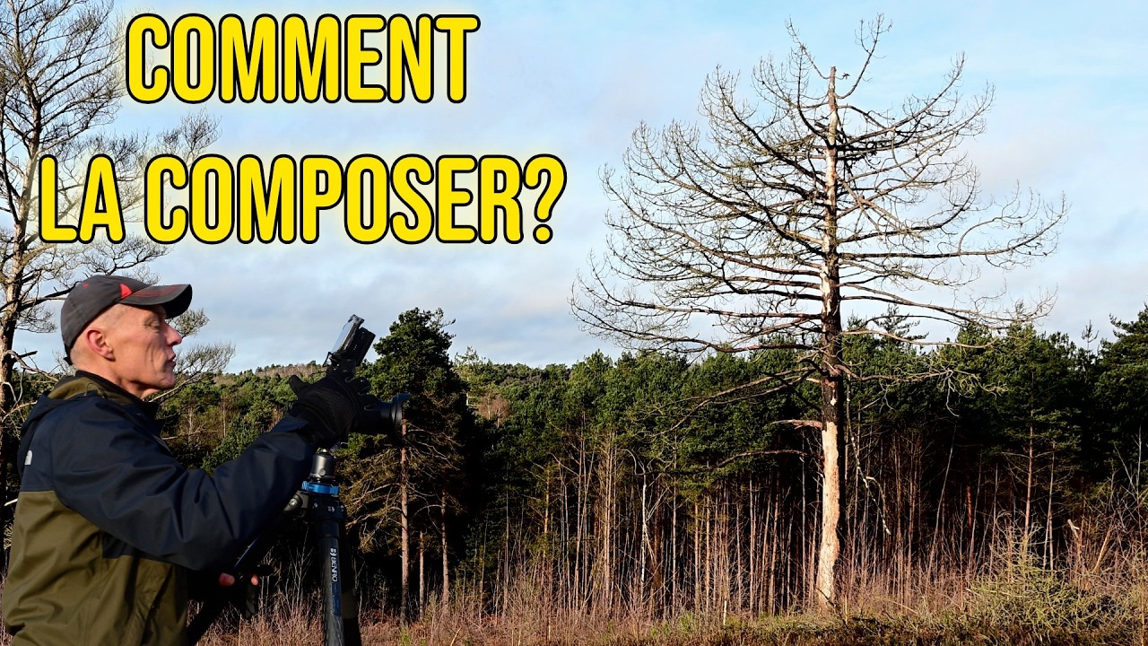 Composition, profondeur de champ et renaissance de la nature