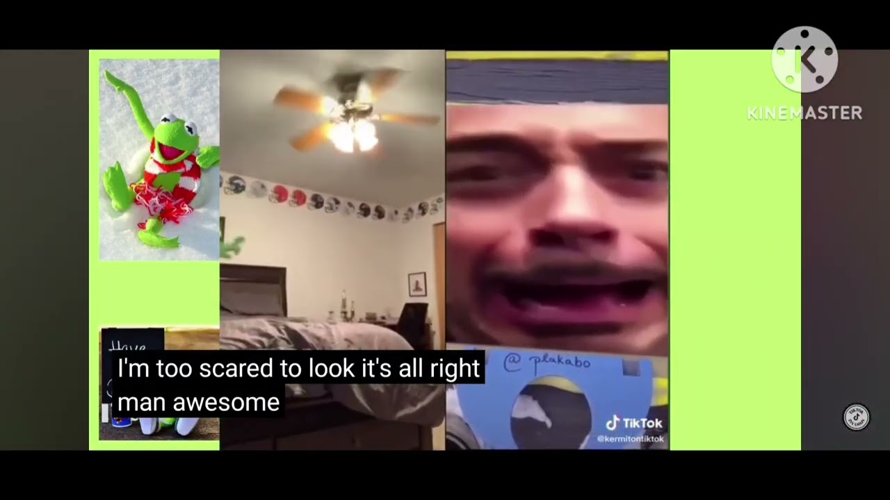 Kermit the frog jumpscare 