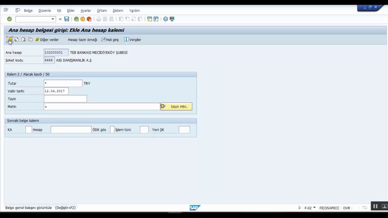 SAP Tcode F-02 Genel Kayıt