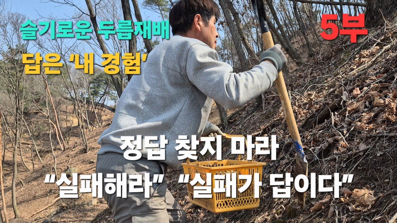 임야 두릅재배 5부⛰️정답은 없다… 실패가 나만의 방법을 만든다
