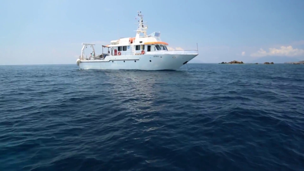 Colori profondi del Mediterraneo- documentario ISPRA