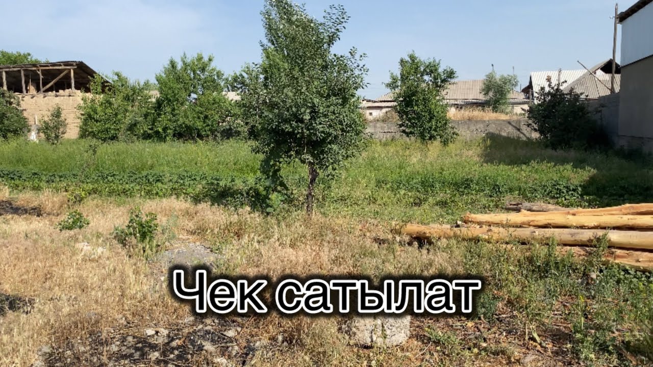 Чек сатылат Жалал абад Спутник