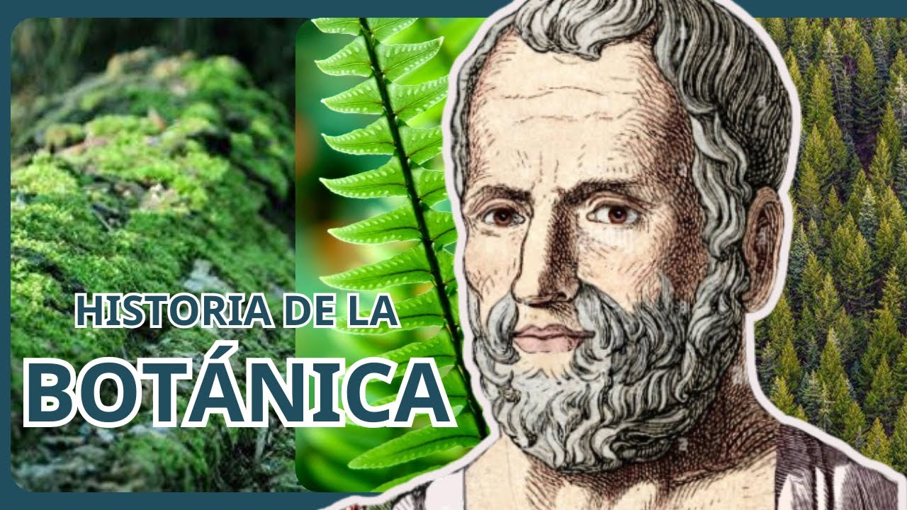 Historia de la bot&aacute;nica