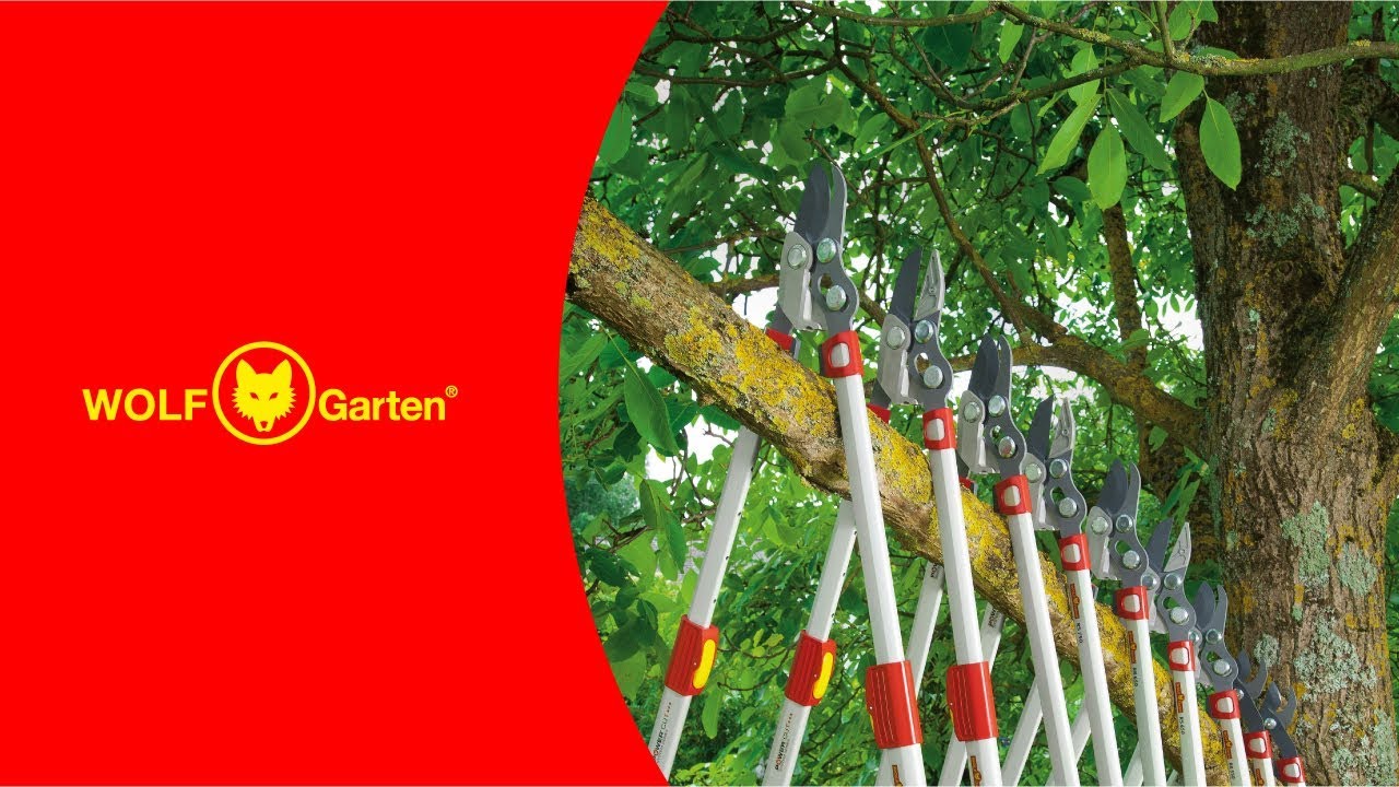 WOLF-Garten: Snoeischaren