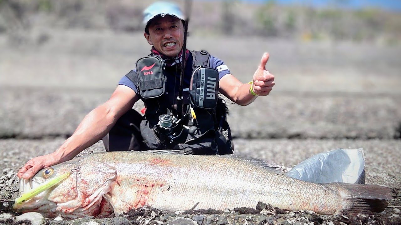 115cm&105cmシーバス捕獲