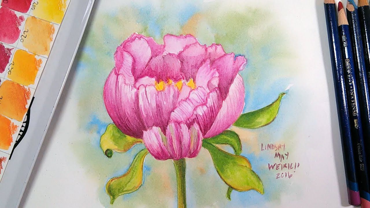 LIVE: Paint a Peony Flower with Inktense or Watercolor Pencils
