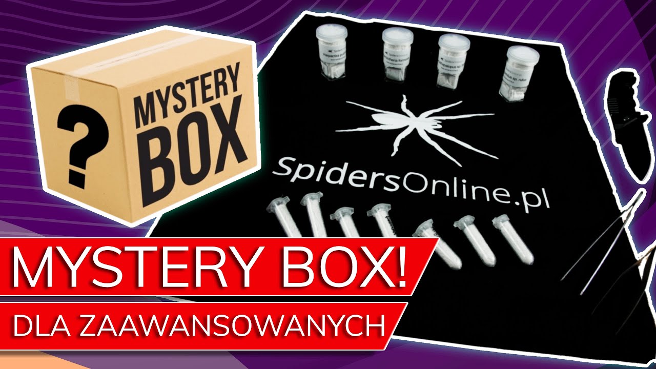 Unboxing MYSTERY BOXA ze sklepu SpidersOnline.pl 📦 Czy było warto?