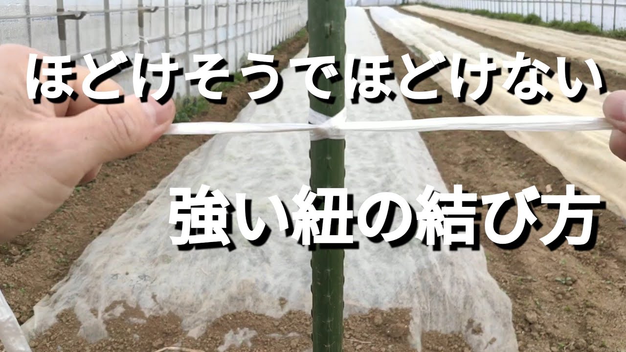家庭菜園でも使える紐の結び方。これさえ覚えれば何かと便利！