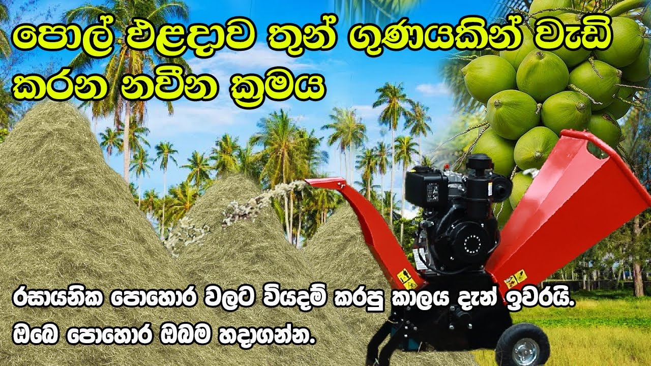 පොල් වත්තක් තියෙන කෙනෙකුට වැදගත් වෙන නවීන Wood Chipper යන්ත්&zwj;රය cocodreamslanka