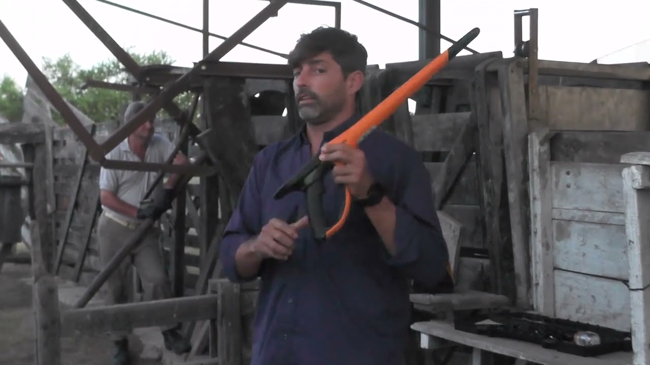 1485 B2 - DIGITALIZACIÓN DE RODEO