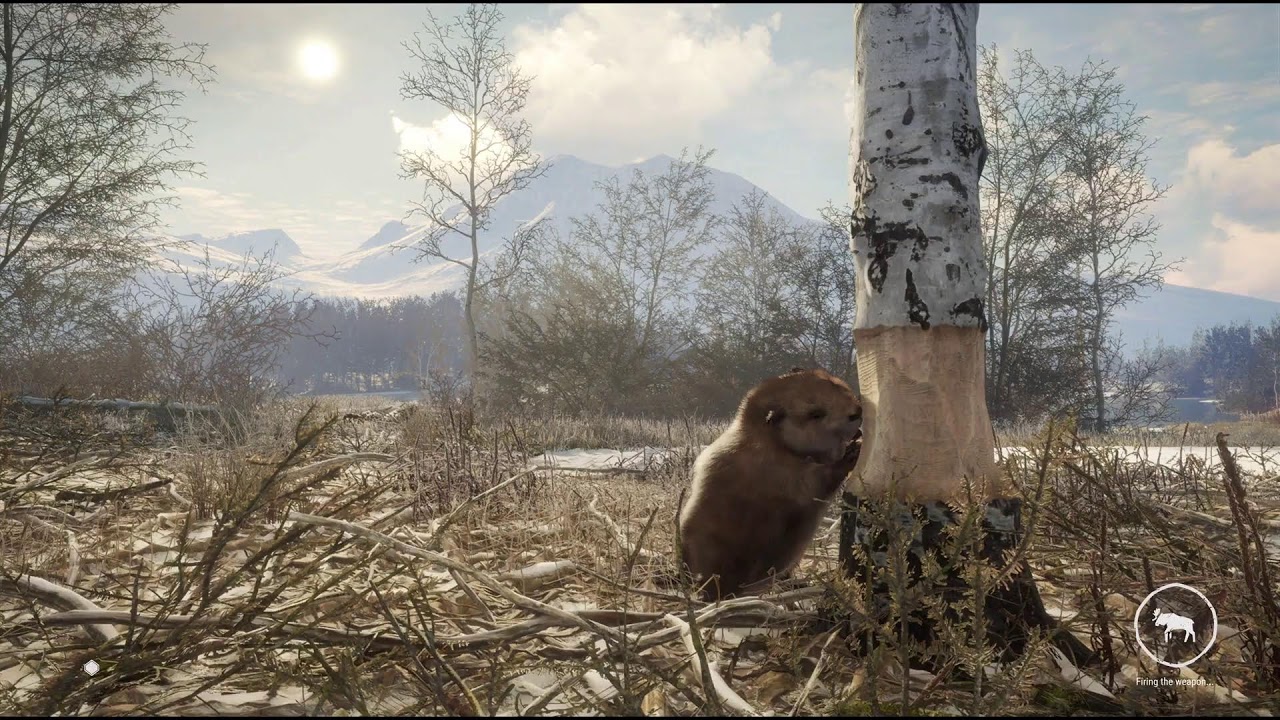 Call of the wild