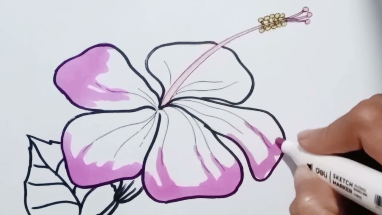 How to draw Gumamela|Basic Drawing #easydrawing #drawing 