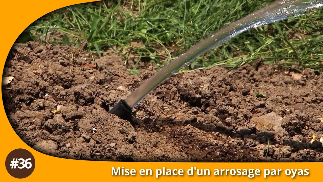 Atelier du jardin : Mise en place d'un arrosage par oyas