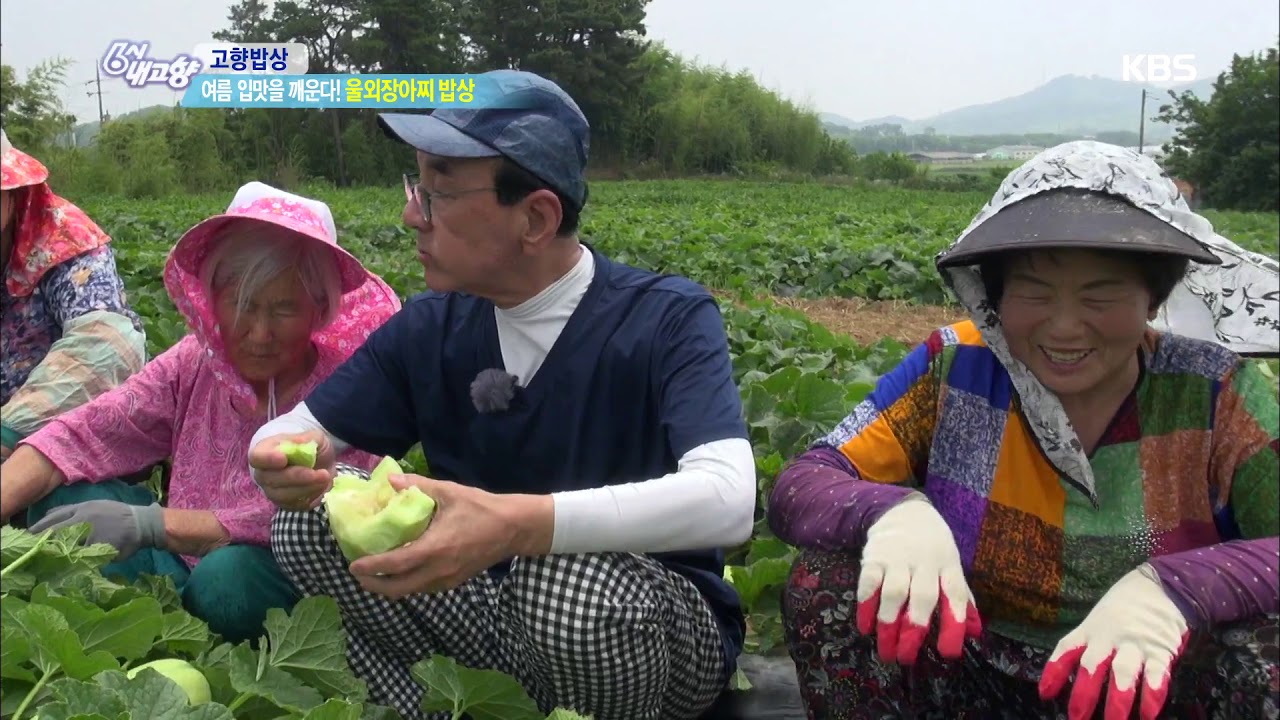 여름 입맛을 깨운다~ 울외장아찌 밥상 - 전북 군산 [6시 내고향]20190701