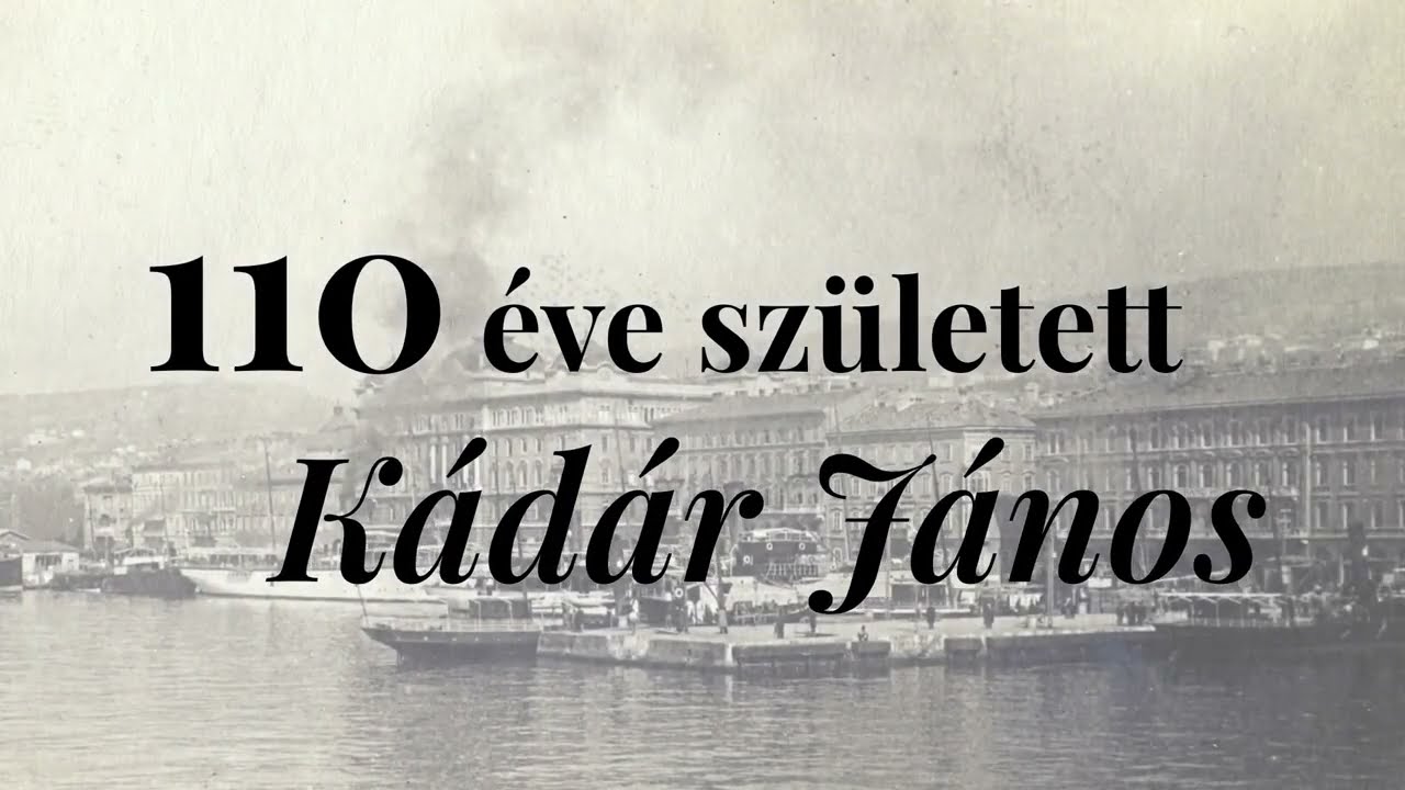 K&aacute;d&aacute;r J&aacute;nos: 110
