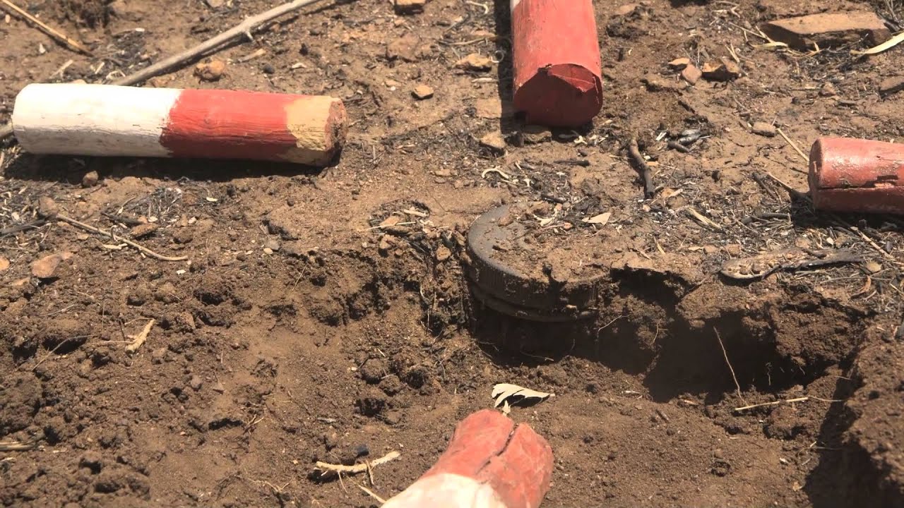 APOPO HeroRATs - Giant rats detecting landmines