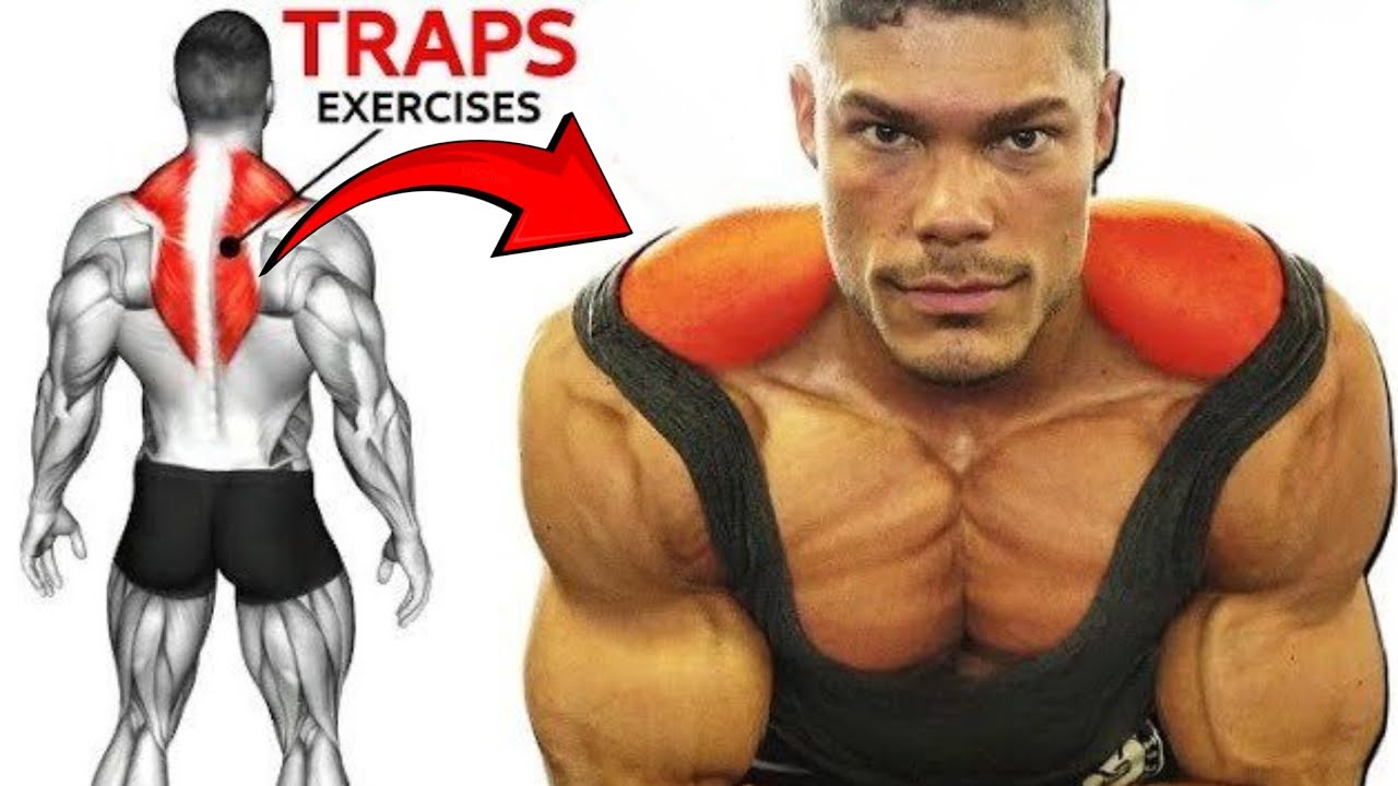 Build Massive TRAPS FAST 🔥 | Best Trap Exercises for a Thick Upper Back