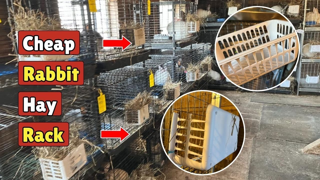How to Make and Install A Cheap Rabbit Hay Rack in Just a Couple of Minutes