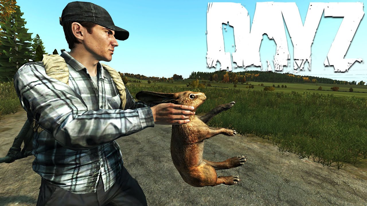 DayZ Solo Rat Survives in the Forest Official Server #dayz