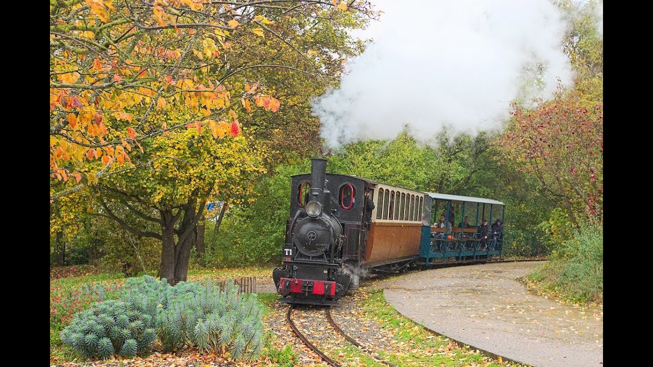 Trains de fin de saison 2021 - film complet - 31 octobre 2021