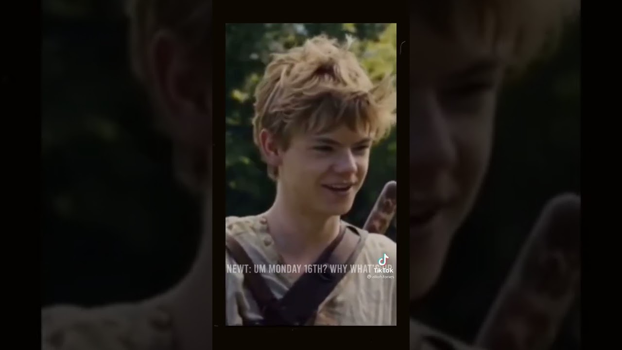 Maze runner POVs PT. 3