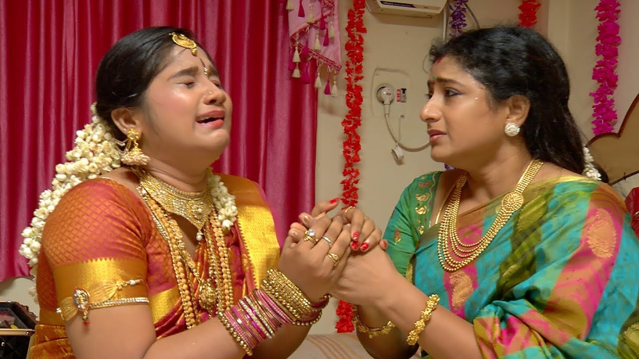 Priyamanaval Episode 258,  25/11/15