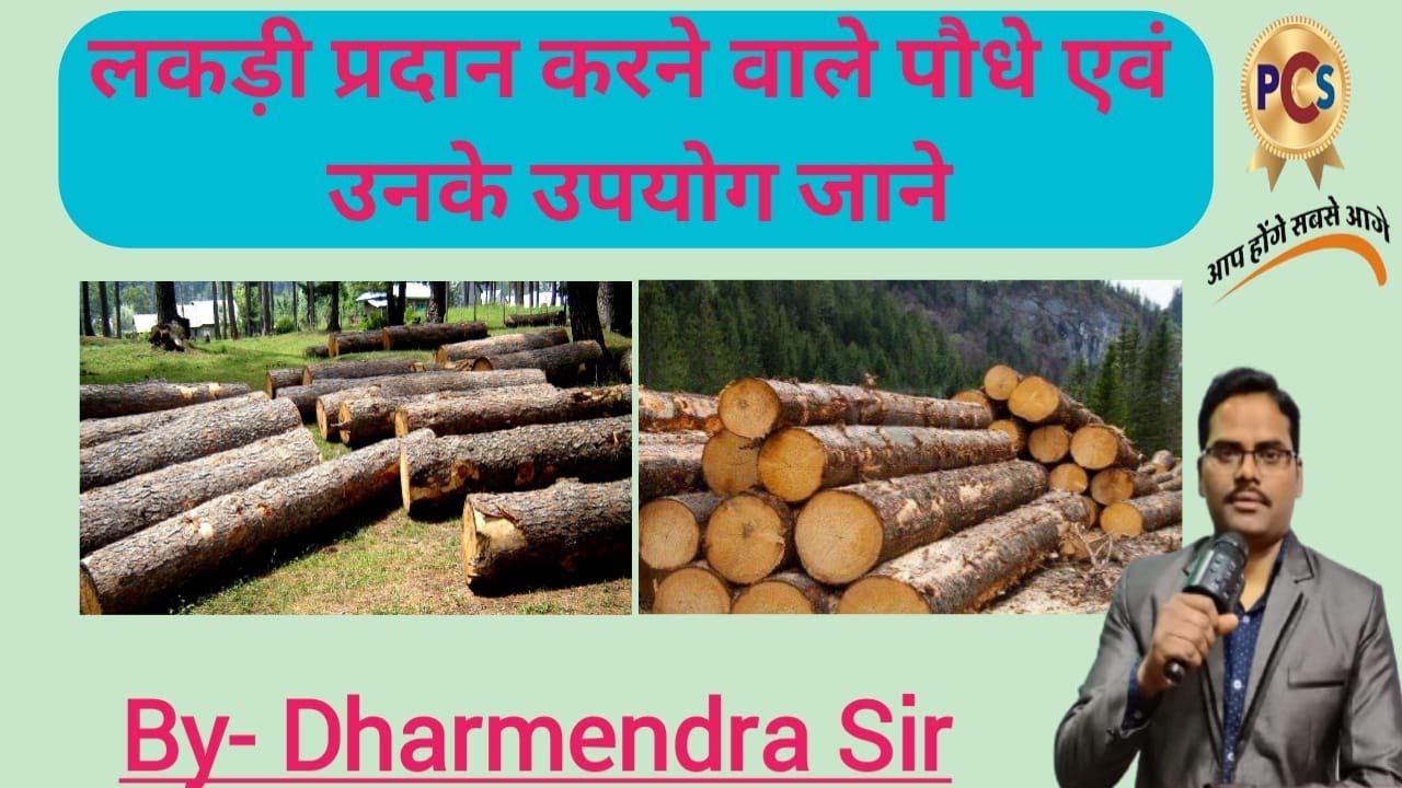 लकड़ी प्रदान करने वाले पौधे एवं उनके उपयोग