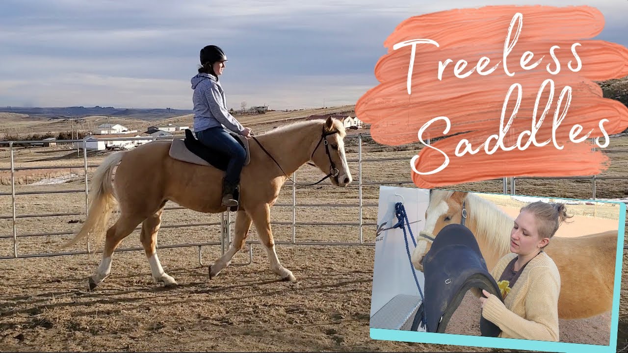 Treeless Saddles: What You Need to Know