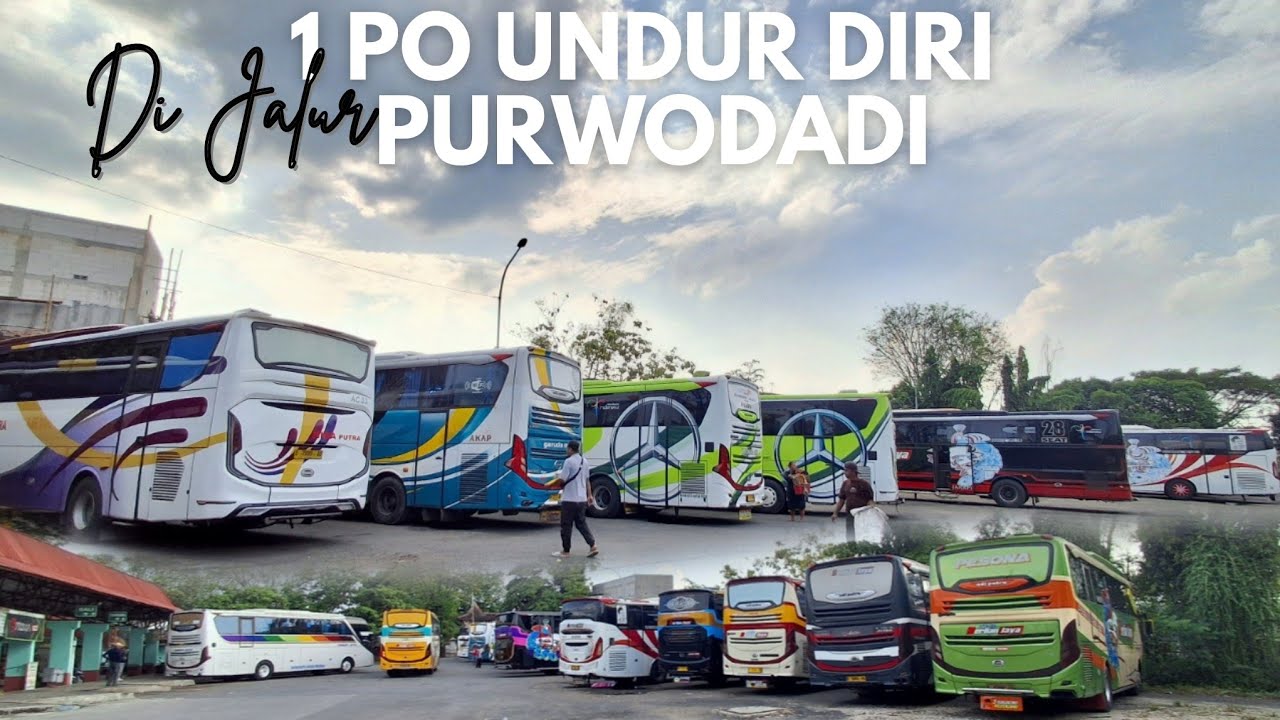 APA BENAR PO INI OFF DI JALUR PURWODADI ⁉️ 10 Armada Berlian Jaya Jalan Hari Ini