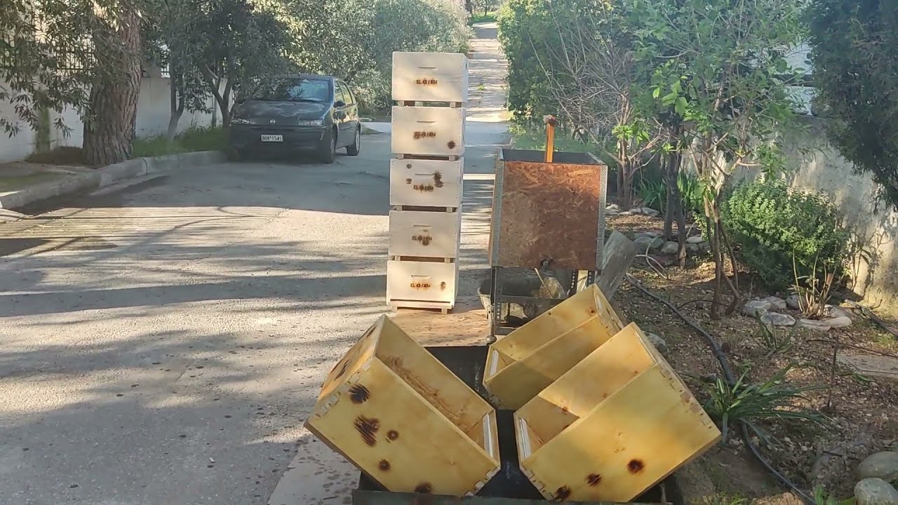 βράσιμο κυψελών σε λινέλαιο